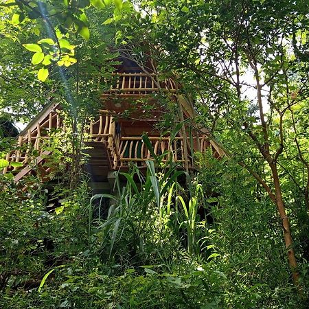 Eco Village Ела Екстериор снимка