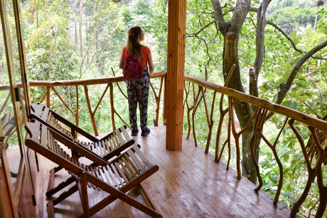 Eco Village Ела Екстериор снимка